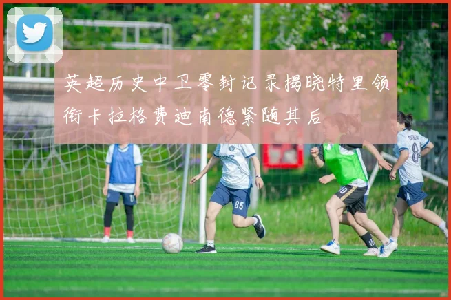 英超历史中卫零封记录揭晓特里领衔卡拉格费迪南德紧随其后